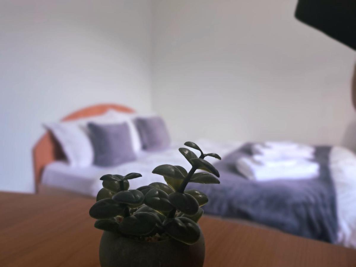 Aviliz Apartament بوستين المظهر الخارجي الصورة